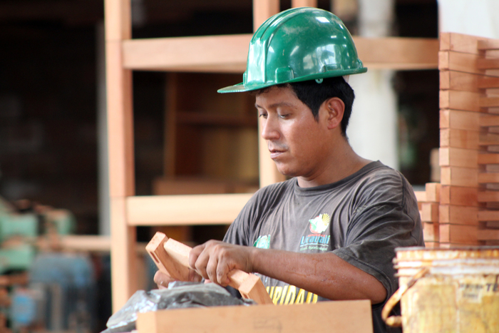 Skilled workforce<br><br>A worker assembles a chair in a furniture factory in Peru, where ITTO project PD 540/09 Rev.2 (I) has invested in improving the manufacturing of timber products and adding value to them.<br>
<br>
<em>Photo: E. Sangama/CNF</em>