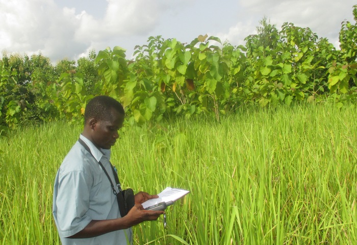 The right coordinates<br><br>A forest official records the coordinates of a teak plantation as part of the development of Togo’s Forest Geographical Information System, created under ITTO project PD 581/10 Rev.2 (F).<br>
<br>
<em>Photo: G. Gbadoe/ODEF</em>