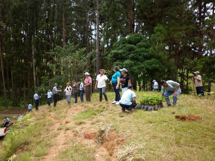 Helping nature<br><br>Members of a local community in Panama participate in activities under ITTO project PD 441/07 Rev.2 (F) with the aim of rehabilitating a forest affected by fire.<br>
<br>
<em>Photo: MINAMBIENTE</em>