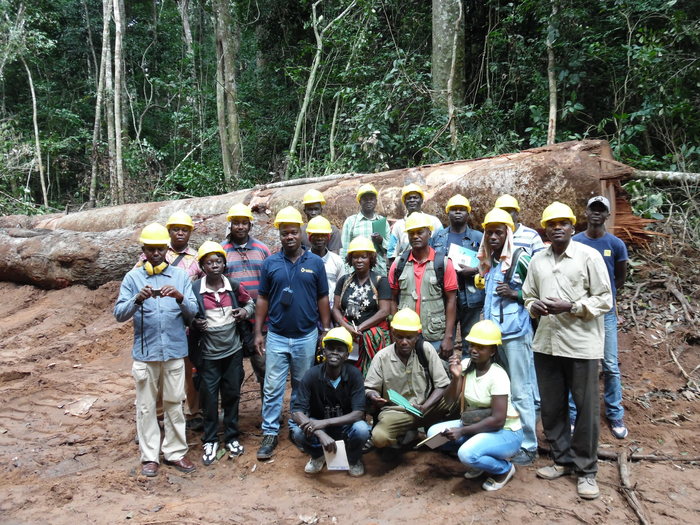 Trained in C&I<br><br><p>Foresters in the Central African Republic receive training in the application of the principles, criteria and indicators of SFM as part of ITTO project PD 124/01 Rev.4 (M), Phase 3.<br>
<br>
<em>Photo: O. Ahimin</em></p>
