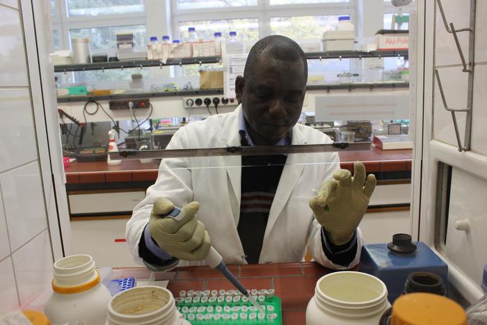 Timber DNA<br><br>ITTO project PD 620/11 Rev.1 (M) helped develop capacity in Africa in techniques to extract DNA for the identification and tracking of timber species.<br>
<br>
<em>Photo: L. Schindler/ Thünen Institute</em>