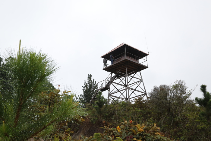 On the lookout<br><br>This tower to enable the early detection of forest fires in the La Yeguada forest reserve in Panama was built as part of ITTO project PD 441/07 Rev.2 (F).<br>
<br>
<em>Photo: MINAMBIENTE</em>