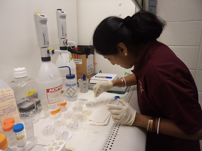 Forest science<br><br>ITTO Fellow Modhumita Dasgupta practises molecular cytogenetic techniques as part of her training at Texas A&M University.<br>
<br>
<em>Photo: M. Dasgupta</em>