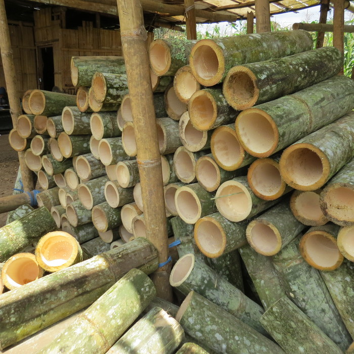 Green gold<br><br>Bamboo is abundant and widely used. ITTO is helping member countries sustainably manage this great natural resource through projects such as ITTO project PD 600/11 Rev.1 (I) in Indonesia.<br>
<br>
<em>Photo: T. Yanuariadi/ITTO</em>