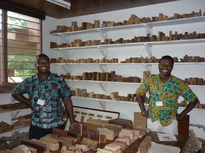 The xylotheque<br><br>This wood library for species identification is being used for reference and training as part of ITTO project PD 620/11 Rev.1 (M) in Ghana.<br>
<br>
<em>Photo: G. Breulmann/ITTO</em>