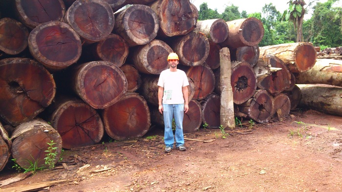 Future floors<br><br><p>Tropical lumber should supply a production chain concerned about the economic, social and environmental impacts of its products, which was the aim of ITTO project PD 433/06 Rev.3 (I).<br>
<br>
<em>Photo: I. Jankowsky/University of Sao Paolo</em></p>