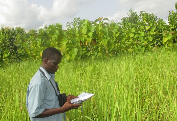 The right coordinates<br><br>A forest official records the coordinates of a teak plantation as part of the development of Togo’s Forest Geographical Information System, created under ITTO project PD 581/10 Rev.2 (F).<br>
<br>
<em>Photo: G. Gbadoe/ODEF</em>