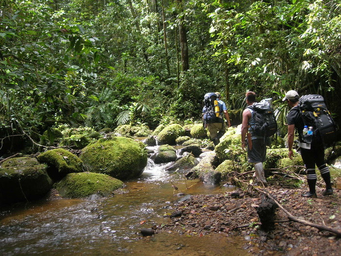 Trekking to the project site<br><br>Project PD 635/12 Rev.2 (F) is helping improve management in the buffer zone of the Pulong Tau National Park in Sarawak, Malaysia.<br>
<br>
<em>Photo: W. Cluny</em><br>
<br>
 