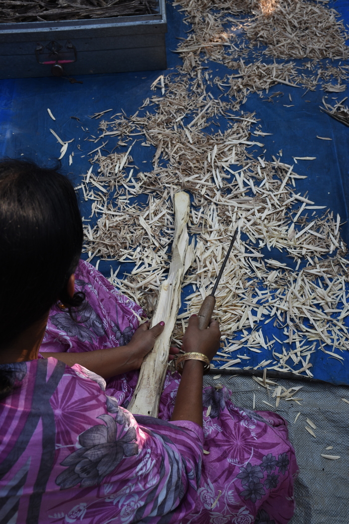 Source of livelihoods<br><br>Agarwood chips are processed by hand in a community enterprise in Assam, India, where the ITTO–CITES Programme is helping improve the management of the species in both wild and planted forests.<br>
<br>
<em>Photo: Assam Agarwood Association</em>