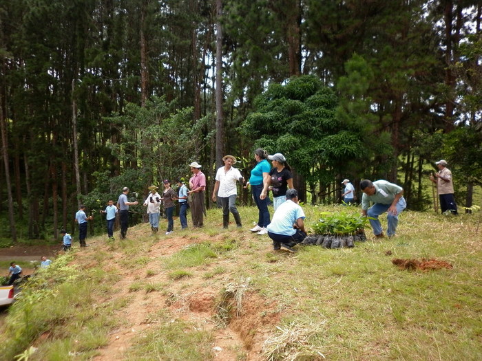 Helping nature<br><br>Members of a local community in Panama participate in activities under ITTO project PD 441/07 Rev.2 (F) with the aim of rehabilitating a forest affected by fire.<br>
<br>
<em>Photo: MINAMBIENTE</em>