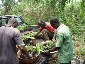 Enriching the forests