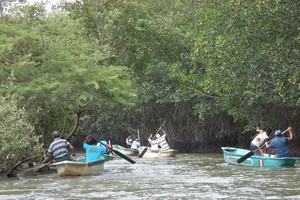 Canoe race