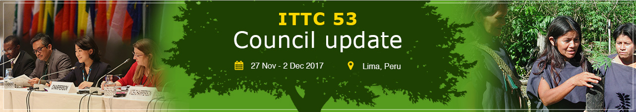 ITTC 53 council update