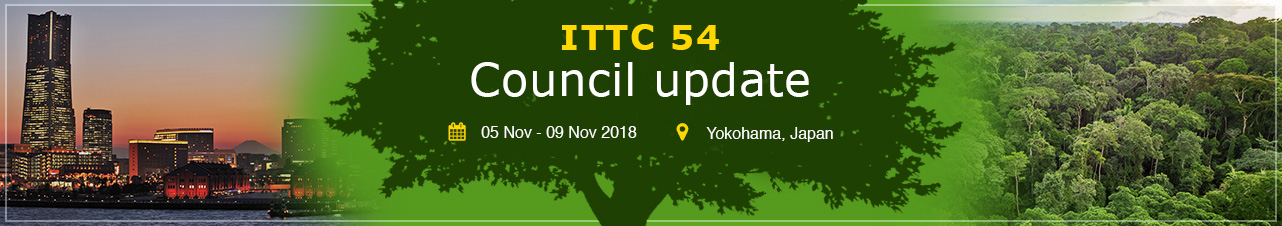 ITTC 54 council update