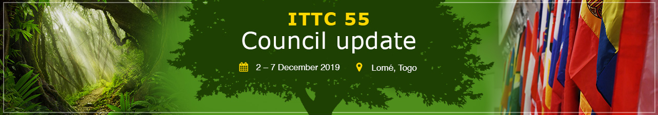 ITTC 55 council update