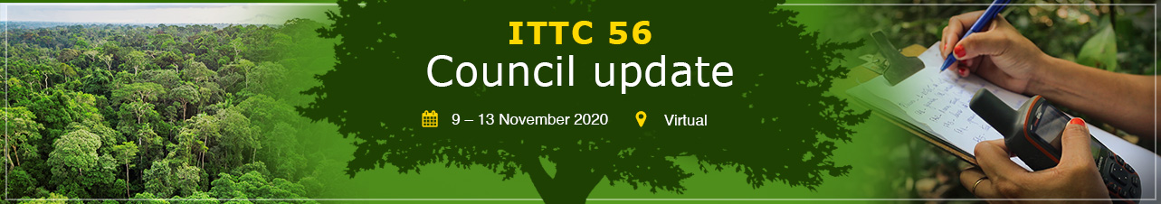ITTC 56 council update