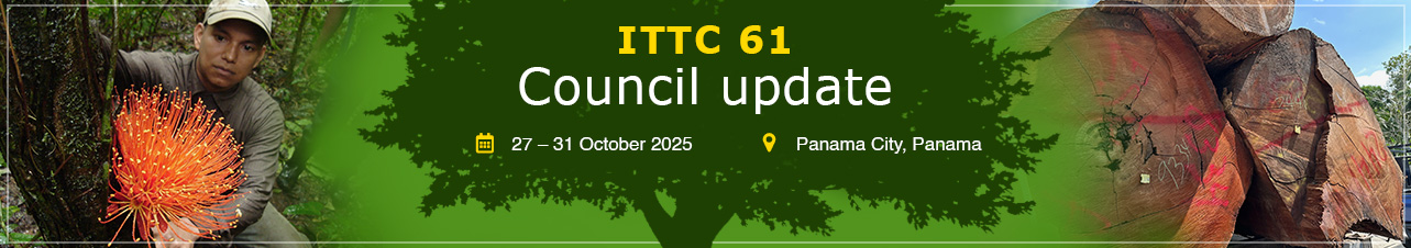 ITTC 61 council update