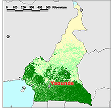 Camerún