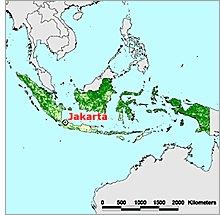 Indonesia