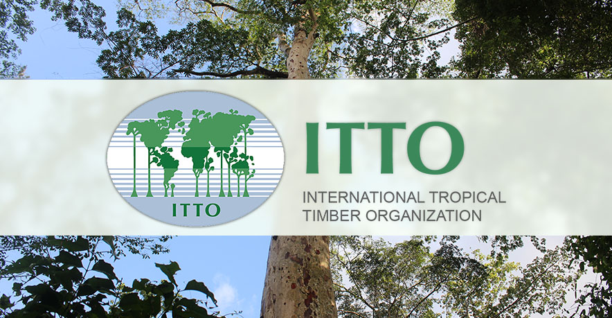 ITTO | The International Tropical Timber Organization