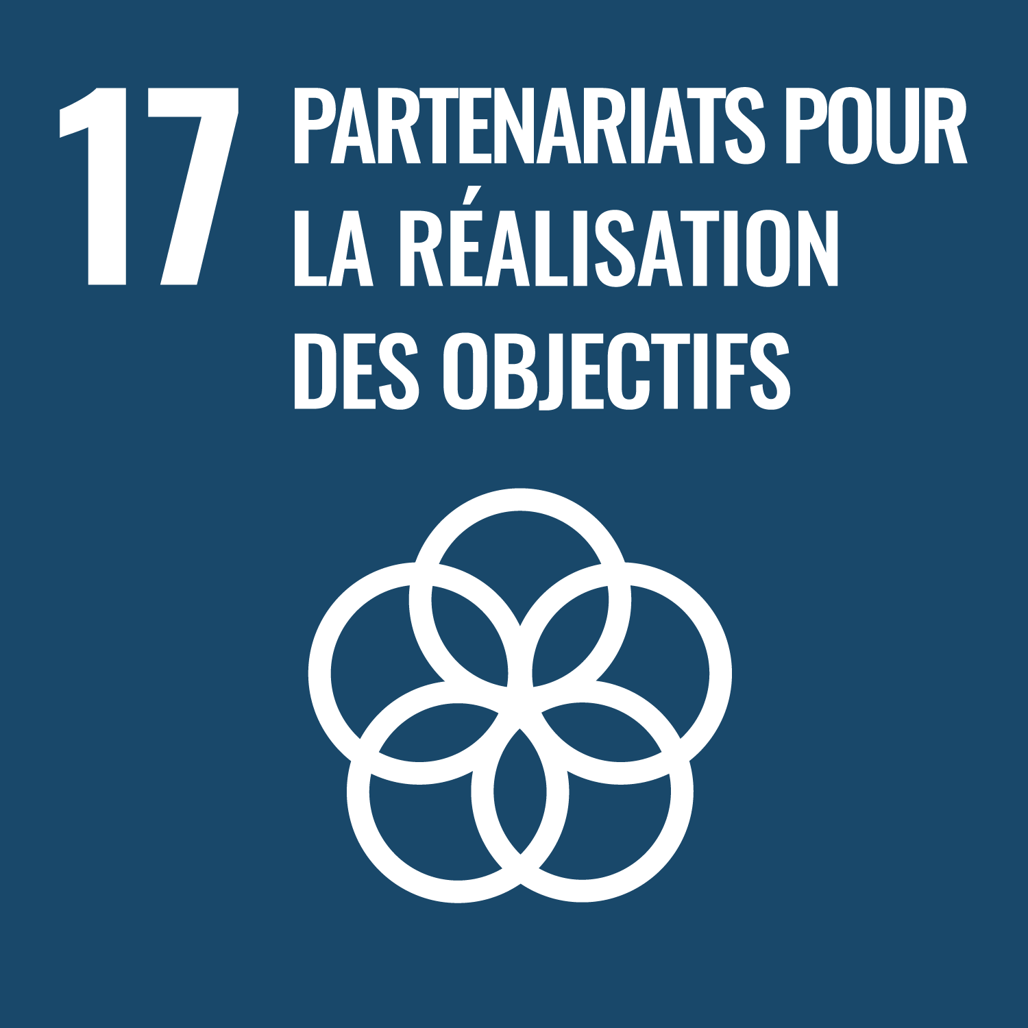 17 Partenariats pour la réalisation des objectifs