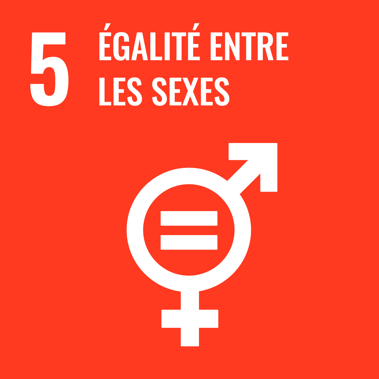 5 Égalité entre les sexes