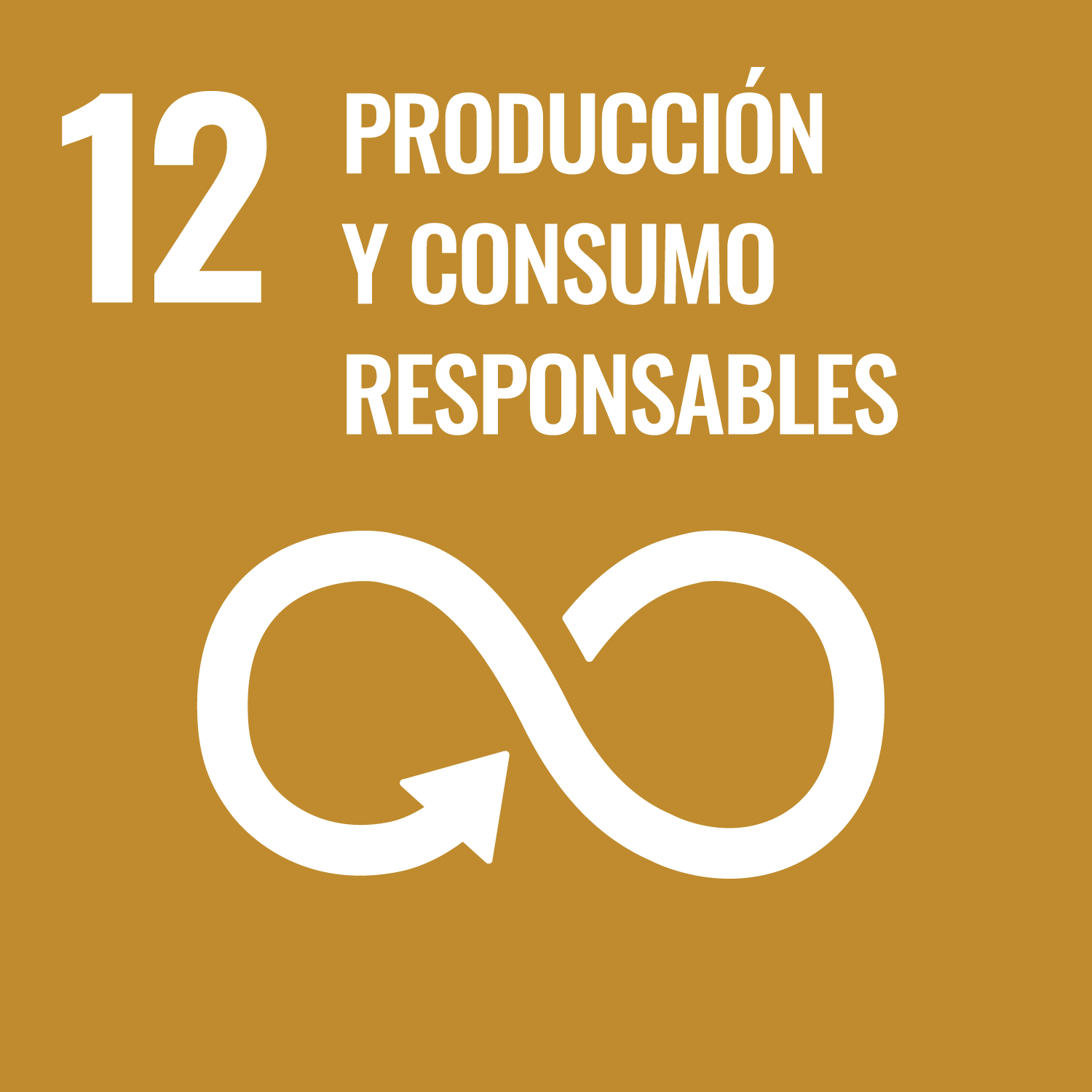 12 Producción y consumo responsable