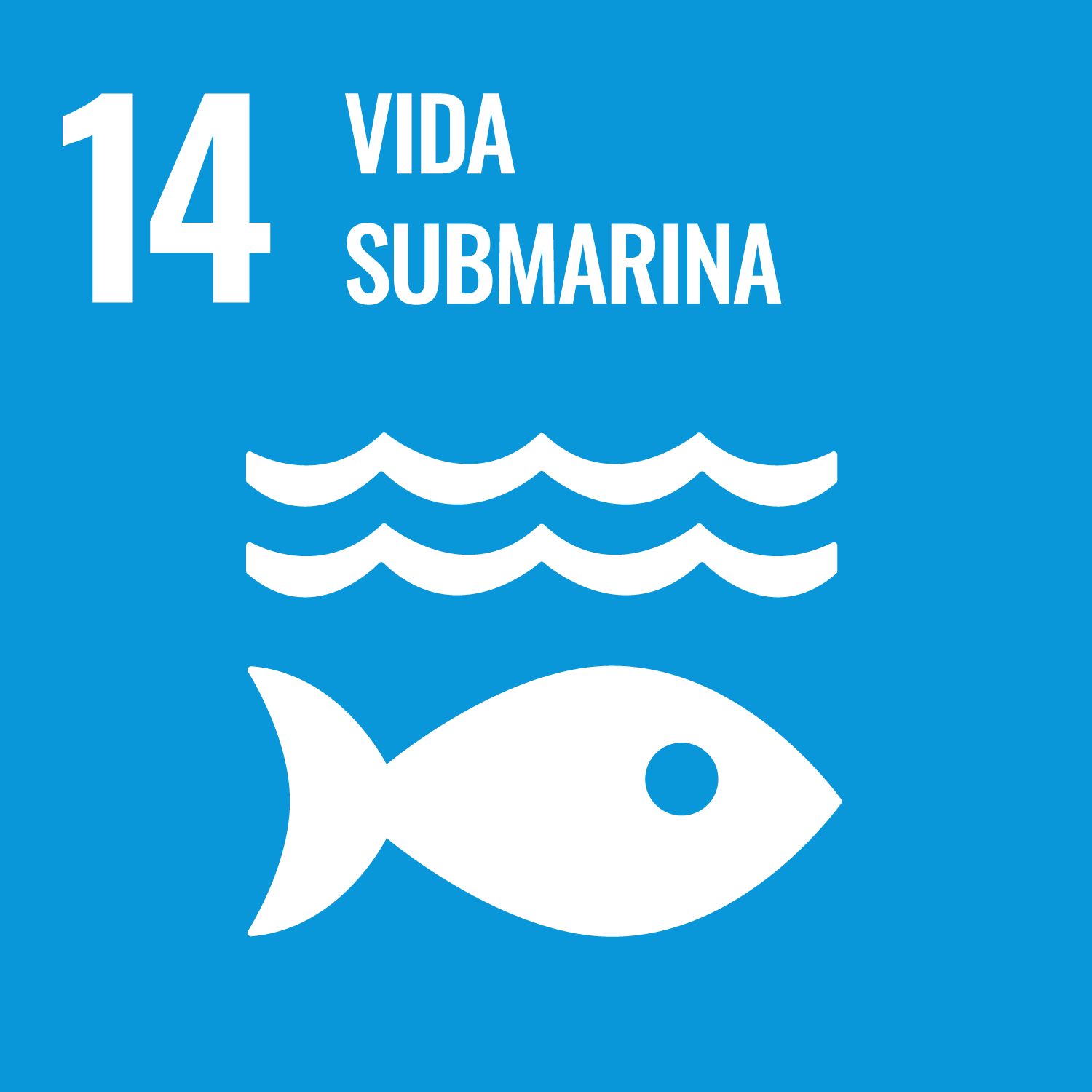 14 Vida submarina