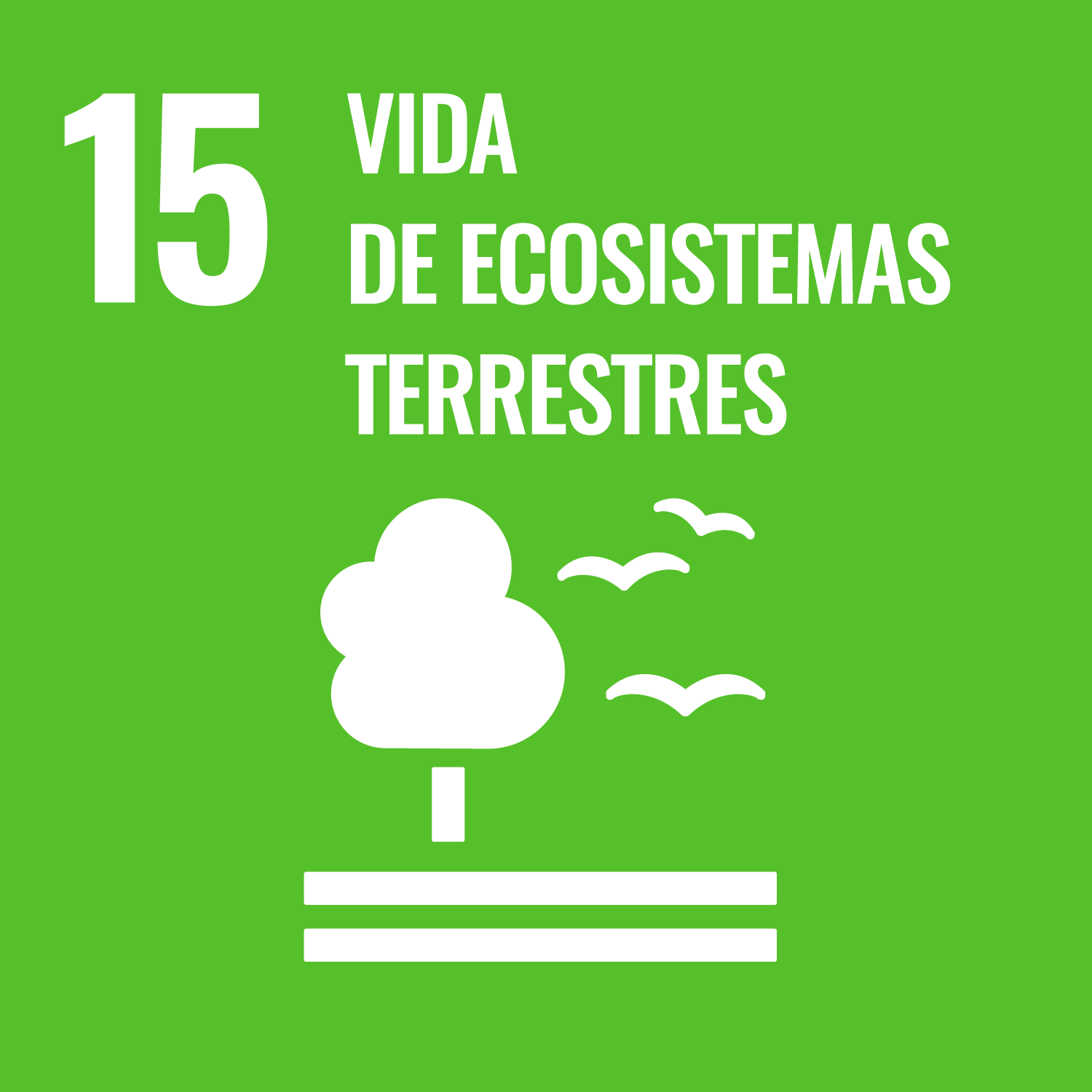 15 Vida de ecosistemas terrestres