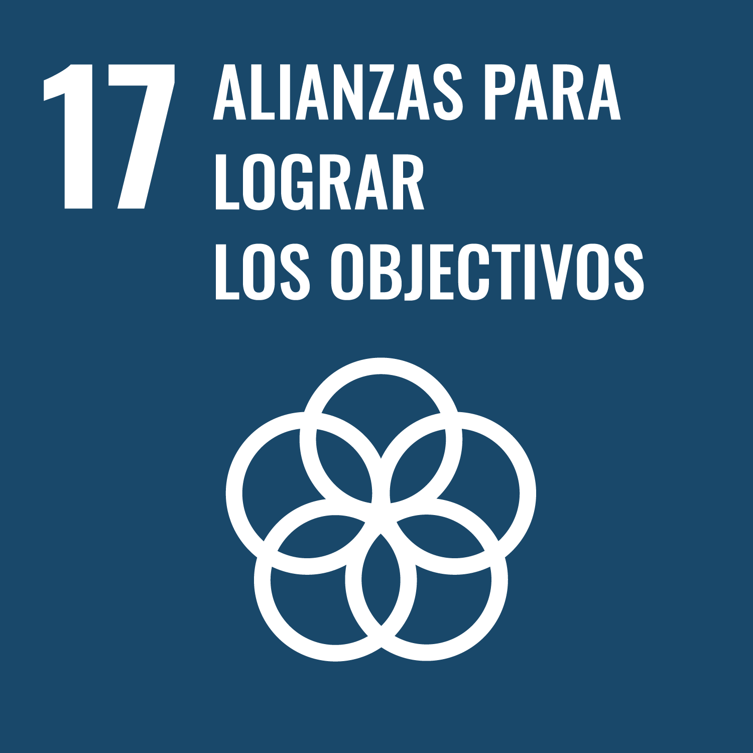 17 Alianzas para lograr los objetivos