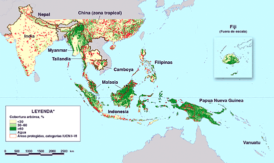 Asia & Pacífico